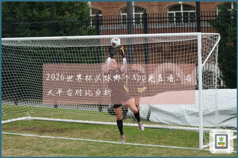 2026世界杯买球哪个App更靠谱？各大平台对比分析
