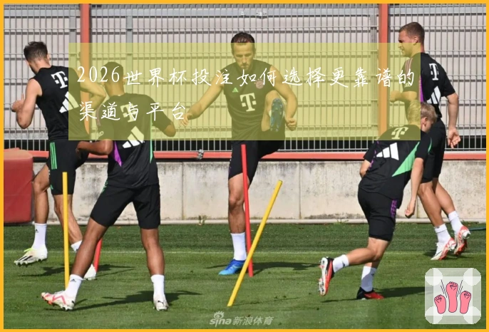 2026世界杯投注如何选择更靠谱的渠道与平台