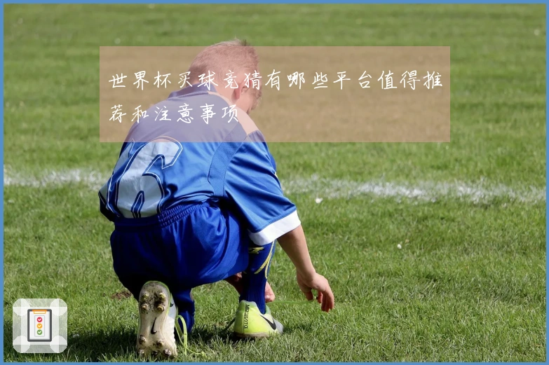 世界杯买球竞猜有哪些平台值得推荐和注意事项