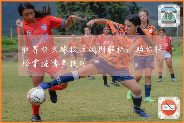 世界杯买球投注规则解析，助你轻松掌握博弈技巧
