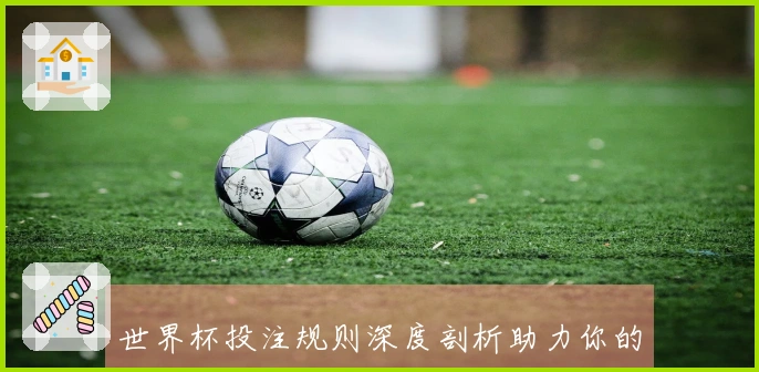 世界杯投注规则深度剖析助力你的投注决策