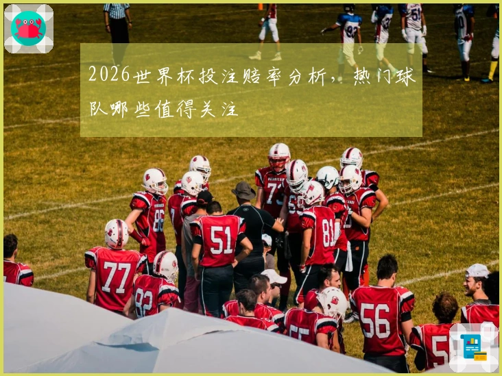 2026世界杯投注赔率分析，热门球队哪些值得关注