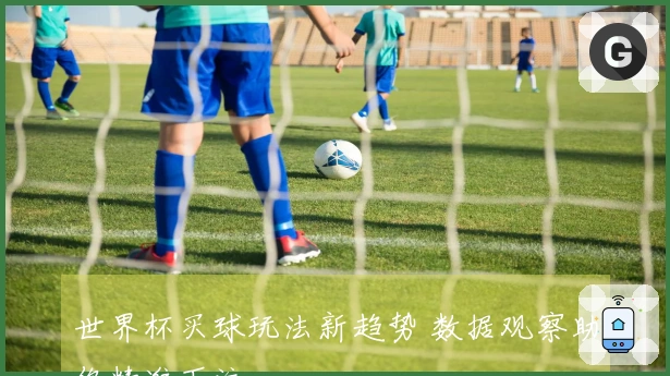 世界杯买球玩法新趋势 数据观察助你精准下注