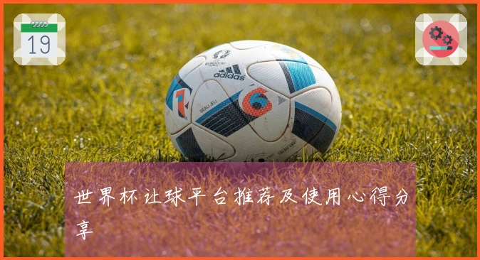 世界杯让球平台推荐及使用心得分享