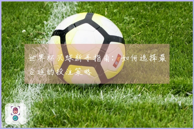 世界杯买球新手指南：如何选择最合适的投注策略