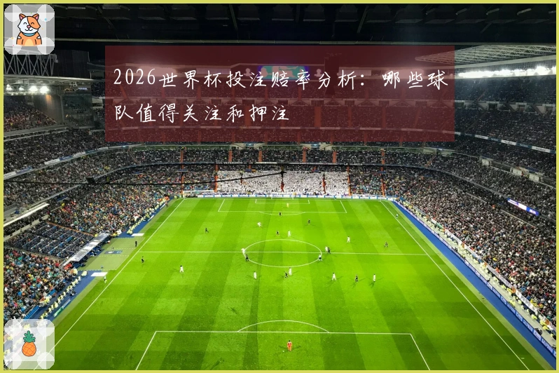 2026世界杯投注赔率分析：哪些球队值得关注和押注