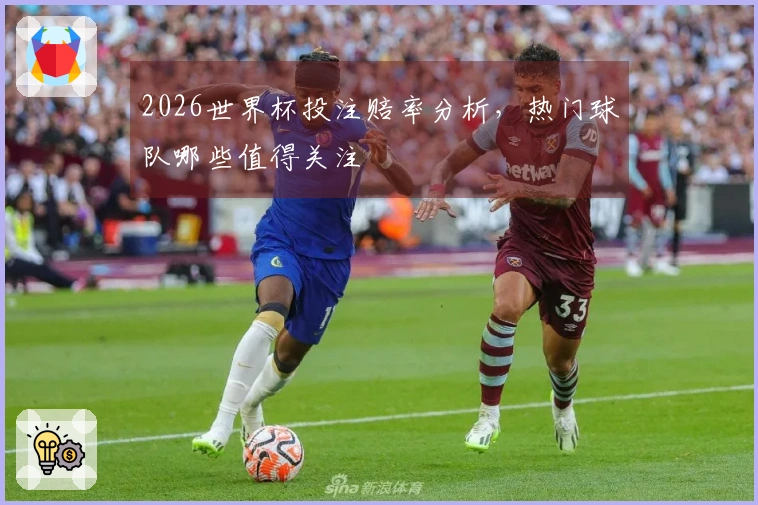 2026世界杯投注赔率分析，热门球队哪些值得关注