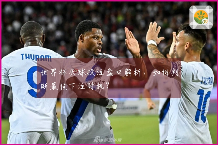 世界杯买球投注盘口解析，如何判断最佳下注时机？