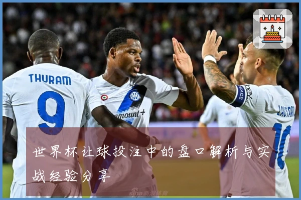 世界杯让球投注中的盘口解析与实战经验分享