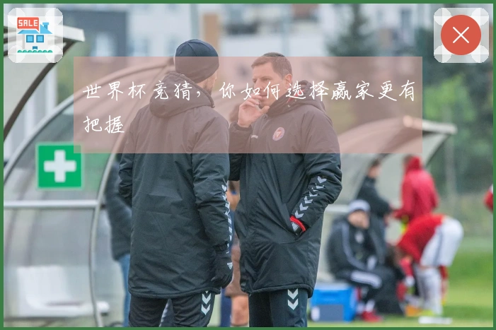 世界杯竞猜，你如何选择赢家更有把握