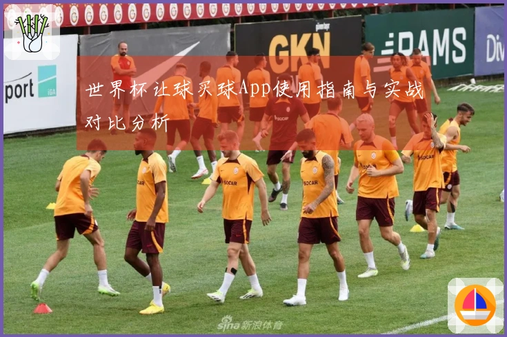 世界杯让球买球App使用指南与实战对比分析