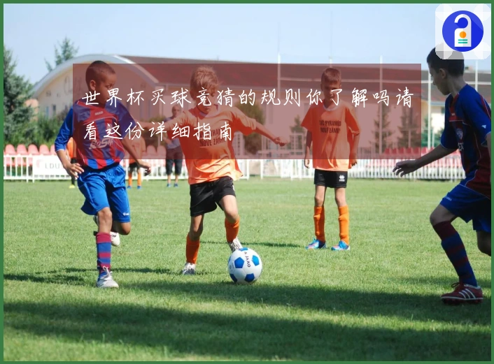 世界杯买球竞猜的规则你了解吗请看这份详细指南