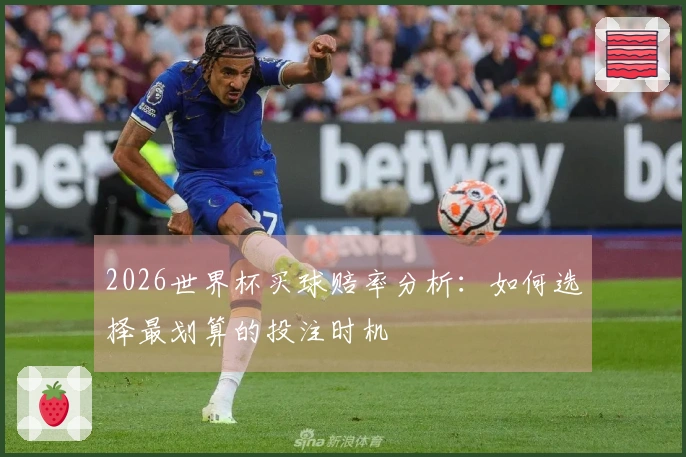 2026世界杯买球赔率分析：如何选择最划算的投注时机