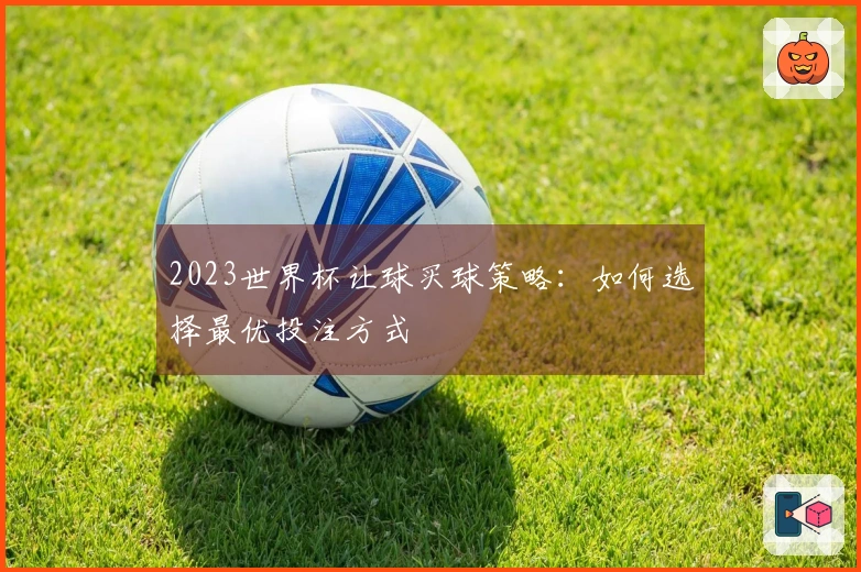 2023世界杯让球买球策略：如何选择最优投注方式
